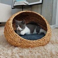 WATER HYACINTH PET BED